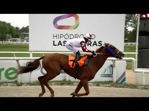 211210 c03 - BLUE DORADA - HIPODROMO LAS PIEDRAS
