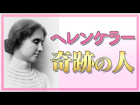 タキネミス・セイシェレンシスについて詳しく解説