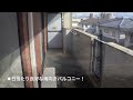 動画1