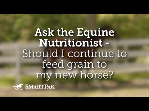 Ask the Equine Nutritionist - Should I continue to feed grain to my new horse?