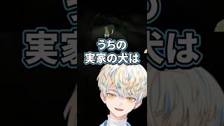 緋八家のわんちゃんの話【切り抜き/緋八マナ/にじさんじ】