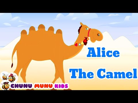 Alice The Camel Chunu Munu Kids Nursery rhymes and kids songs with lyrics