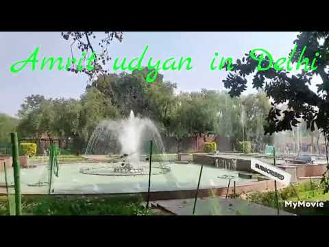 Amrit udyan in Delhi 🌹🌺🌷🪷🌼#flowers #foryou #ojasvi's blogs #nature