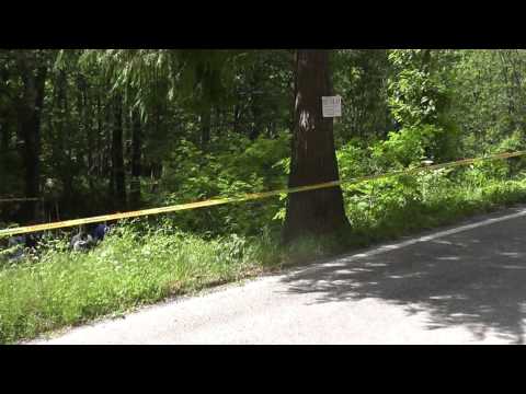 32° Rally degli Abeti 2014