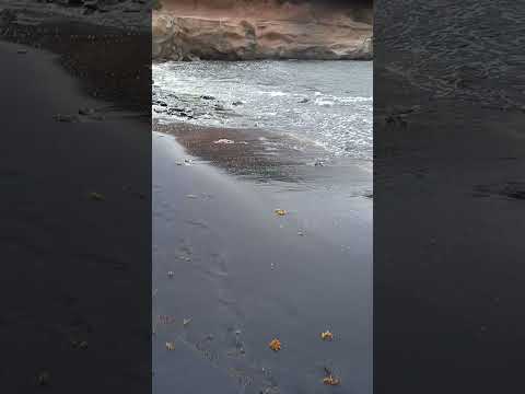 javid,s adventure tour