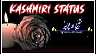 HAA ASHQ CHOROO KASHMIRI SONG STATUS | New Kashmiri Whatsapp Status | Black Screen Kashmiri Status |