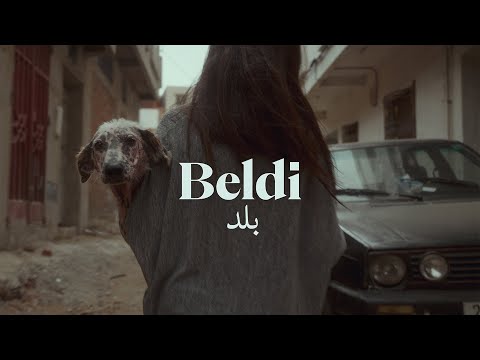 Salvando a los perros callejeros de Tánger | Beldi