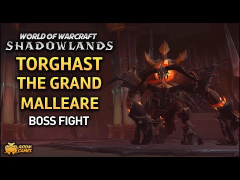 WoW: Shadowlands - Torghast The Grand Malleare