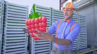 Blippi Raspberry Factory Tour | Learn Machines for Kids and FRUIT!