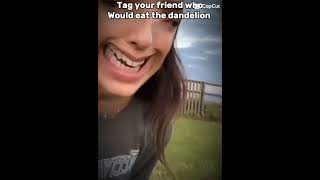Oh Look a Dandelion #lol #rizz #dandelions #chickennuggets #cottoneyejoe #wtf #trending #funny #gacy
