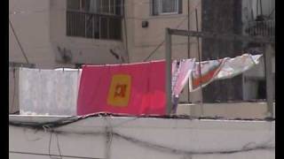 calvary scars - deerhunter