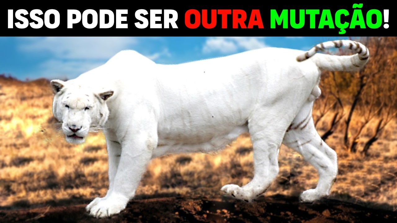 White Tiger MUTANT AND MORE VIOLENT than normal! Fact or Fake? | Man falls into feline cage