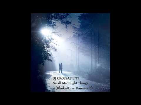 DJ CROSSABILITY - Small Moonlight Things (Blink-182 vs. Rameses B) Mashup