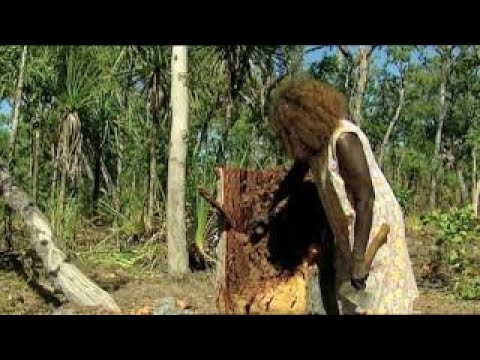Aboriginal Women. The Men of Fifth World | Tribes - Planet Doc Full Documentaries