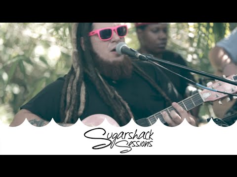 Cheezy and The Crackers - Scream My Name (Live Acoustic) | Sugarshack Sessions