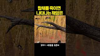 Download lagu 벌레 잡던 참새 멸종시키자 하늘을 뒤덮어버린 충격적인 생명체#참새 #중국역사 #대기근 #생태계 #미스터리 mp3