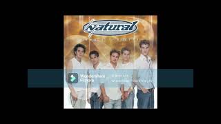 I Count the Minutes by Natural written by Diane Warren