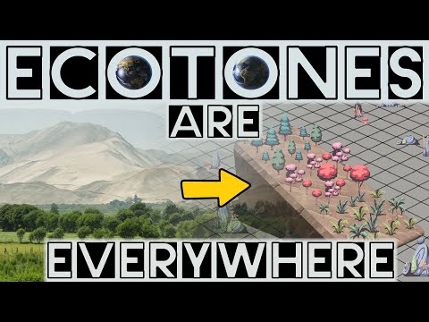 Ecotones: Nature's Borders