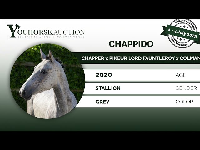 Chappido
