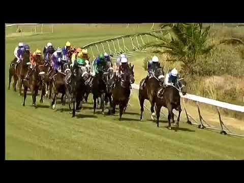 2019.01.26 Cape Derby (RSA) - Atyaab