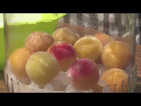 和歌山県紀州南高梅簡単梅ジュースつくり（南高梅生産農家が作る）