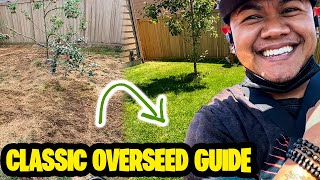 How to Overseed your lawn full process before and after results!