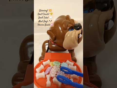 Buster's Bone Angry Dog Game W/ Flower Beads #shorts #maddog #asmr #trending #funnyvideo #funtoys