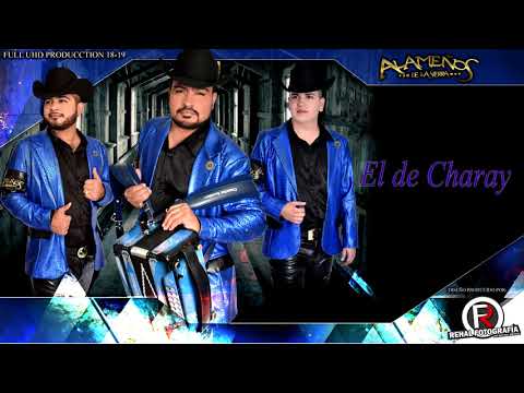 ALAMEÑOS DE LA SIERRA - EL DE CHARAY / CORRIDOS INEDITOS 2019