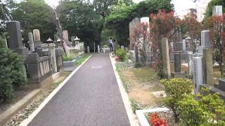 preview picture of video 'Walking through Yanaka Cemetery'