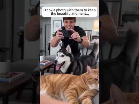 Dogs are family for a lifetime. #animals #dogs #rescue #love #shorts