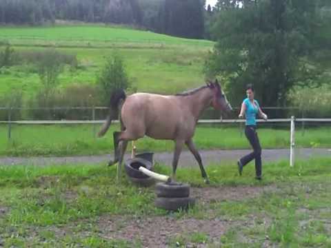 Pakeno Bey ~ Der Bewegungskünstler *2009*