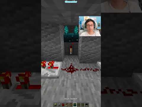 Minecraft Secret Door (Anxiety)