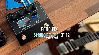 Video thumbnail for Echo Fix: SPRING REVERB EF-P2 by Brett Kingman