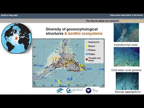 Azores Demonstration Project - Marina Carreriro Silva (Universidade dos Açores)