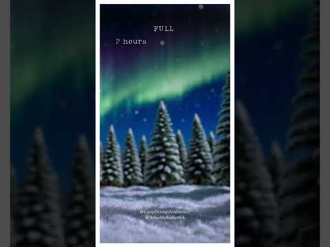 This Winter Forest Is Pure Magic!