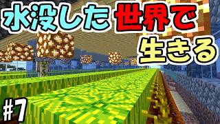 【マインクラフト】#7 水没した世界で生きる　～スイカ畑も水没～【マインクラフト】【マイクラ実況】