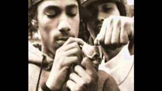 layzie bone and young noble - put me in a cell