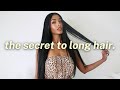 INDIAN HAIR GROWTH SECRETS Weekly Natural Plant Based Routine For Longer Shinier Hair