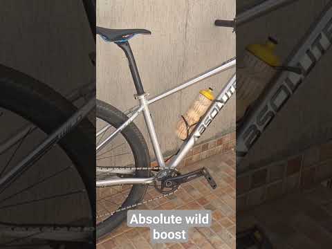 Absolute wild boost 2023