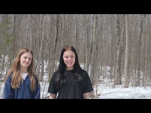 Les mines du québec