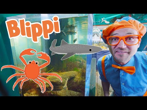 Blippi Learns About Sea Animals! | BEST OF BLIPPI | Blippi Toys | Educational Videos for Kids