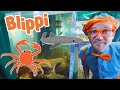 Blippi Learns About Sea Animals BEST OF BLIPPI Blippi Toys Educational Videos For Kids