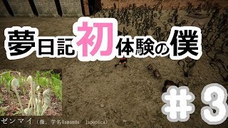 【YUMENIKKI -DREAM DIARY-】夢日記初体験の僕＃3【実況プレイ】夢探索アドベンチャー