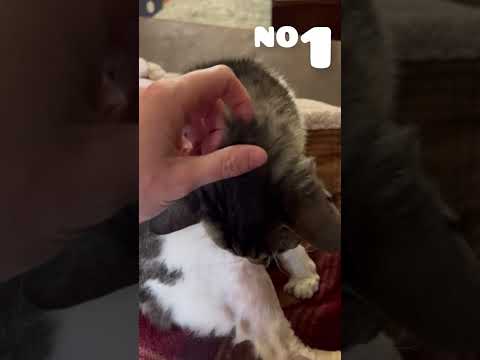 Sounds of a 14yr old Deven Rex part 1