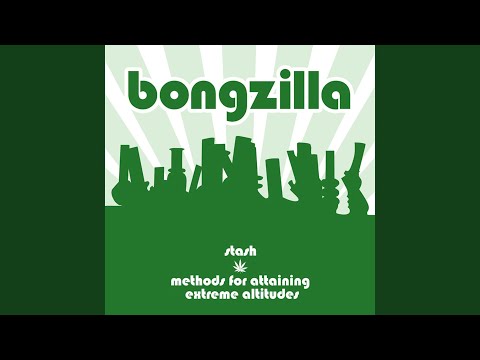 Prohibition (4th Amendment)