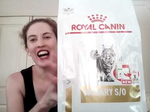 Royal Canin Cat Urinary & Dental Dry Food