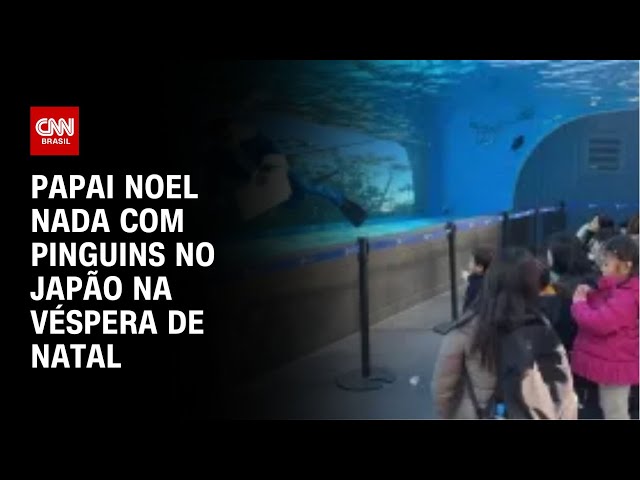 Sem árvore gigante e luzes, Belém, na Cisjordânia, se prepara para Natal modesto | CNN BRASIL
