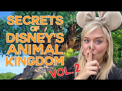 The BEST KEPT SECRETS Of Disney World: Animal Kingdom Part Two