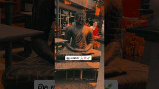 Download lagu සියලු වැඩ කටයුතු සාර්ථක වන සුභ දවසක් වේවා.! 🙏🌸🍃 mp3 Download lagu සියලු වැඩ කටයුතු සාර්ථක වන සුභ දවසක් වේවා.! 🙏🌸🍃 mp3