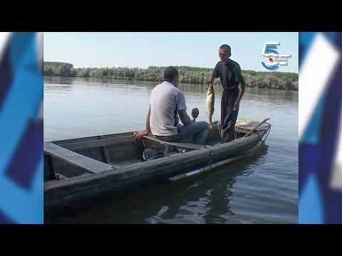 Alas Bakun - sećanje